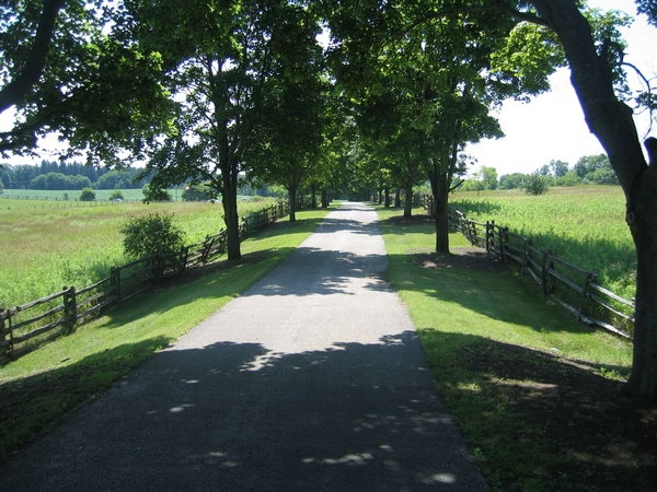 Luxury real estate and Country Homes for sale including horse farms and property in the Caledon and King City areas near Toronto